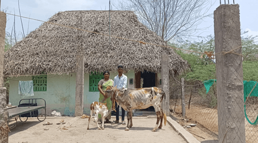 A cow was provided to a widowed woman, a mother of two children, to help her lead a better life.